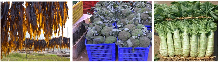 &#67;&#81;&#57;&#30005;&#23376;&#40;&#20013;&#22269;&#41;&#20114;&#21160;&#30334;&#31185;